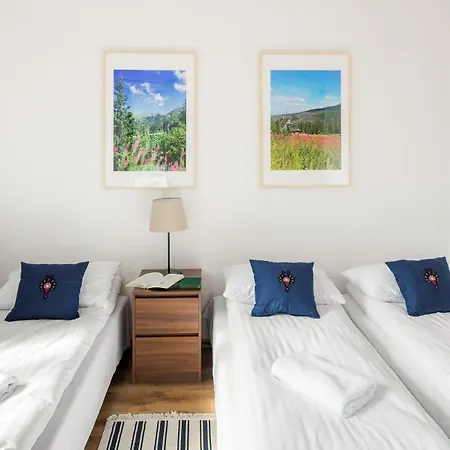 Large In Centre Of By Rent Like Zakopane