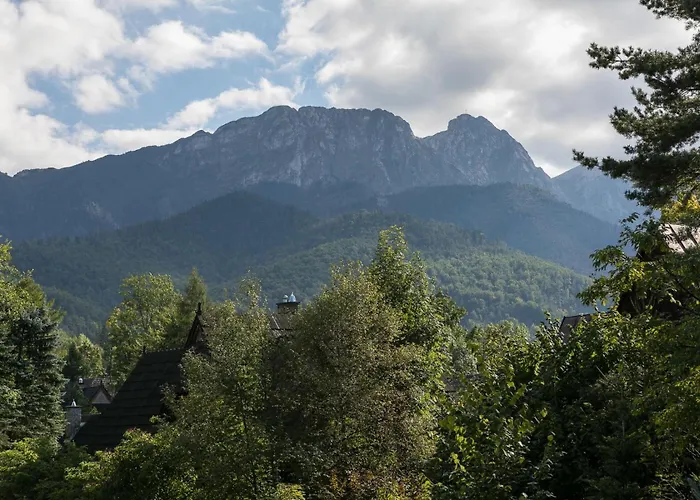 Apartamento Large In Centre Of By Rent Like *