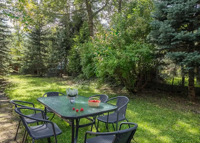 Large In Centre Of By Rent Like *